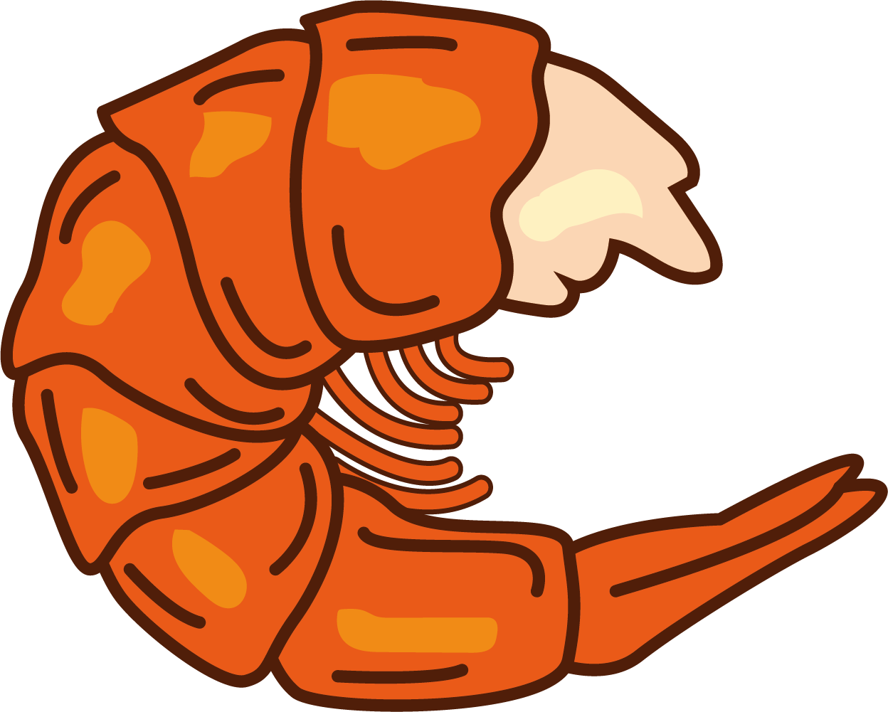 Caridea Decapoda Shrimp Clip Art - Camarones Vector Png (1248x1001)