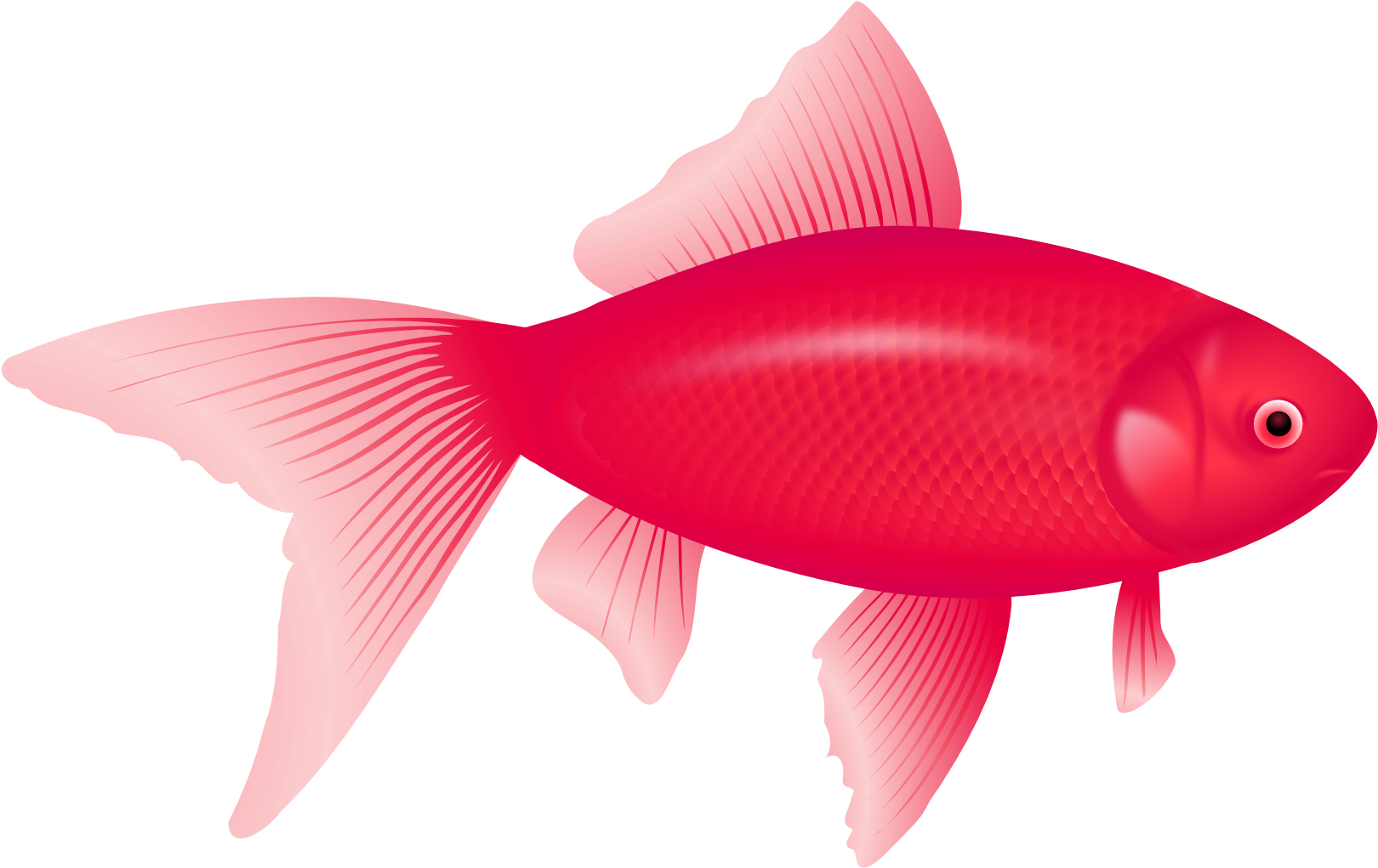 One Fish, Two Fish, Red Fish, Blue Fish Clip Art - One Fish, Two Fish, Red Fish, Blue Fish Clip Art (1969x1307)