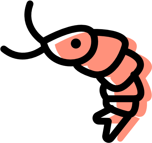 Shrimp Free Icon - Shrimp Icon Png (512x512)