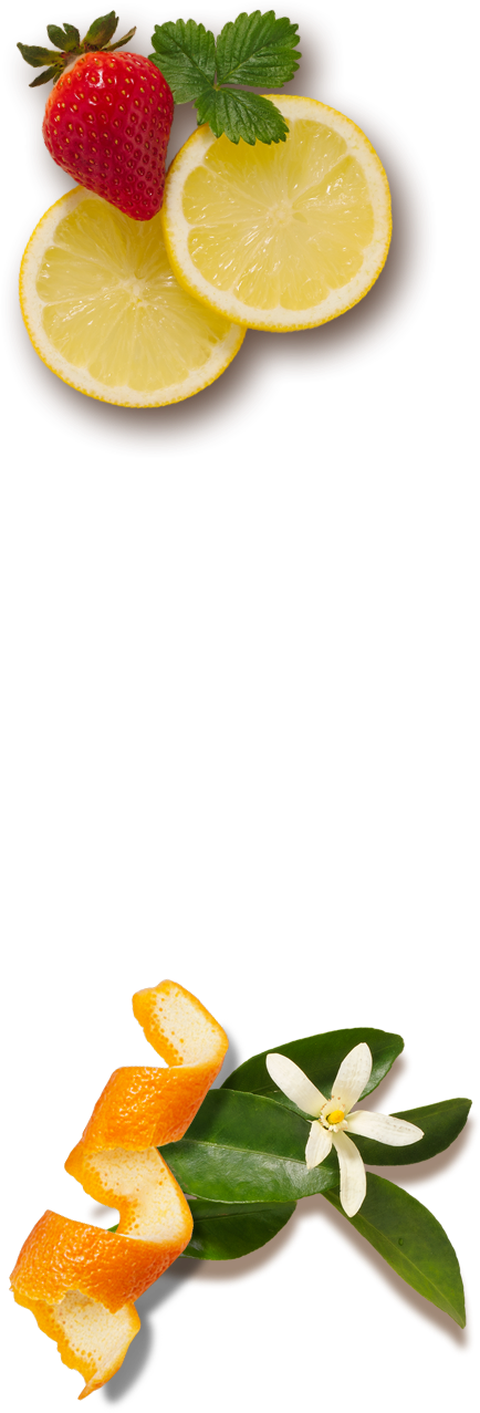 Recipes - Lemon (434x1277)