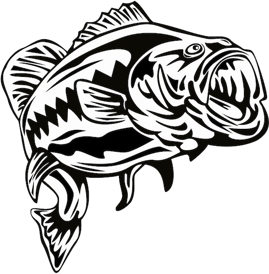 Bass Jumping Out Of Water (542x550)