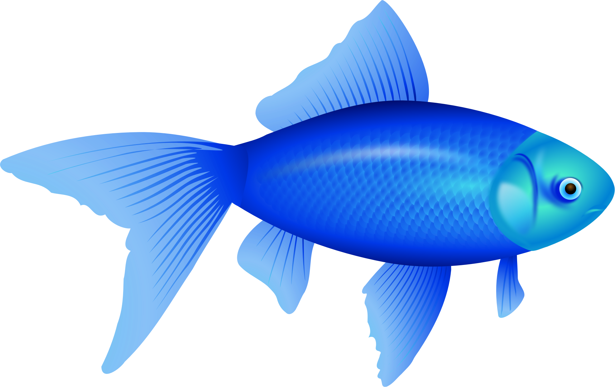 How To Move Two Different Images Across The Screen - Fish Clipart No Background (1973x1243)
