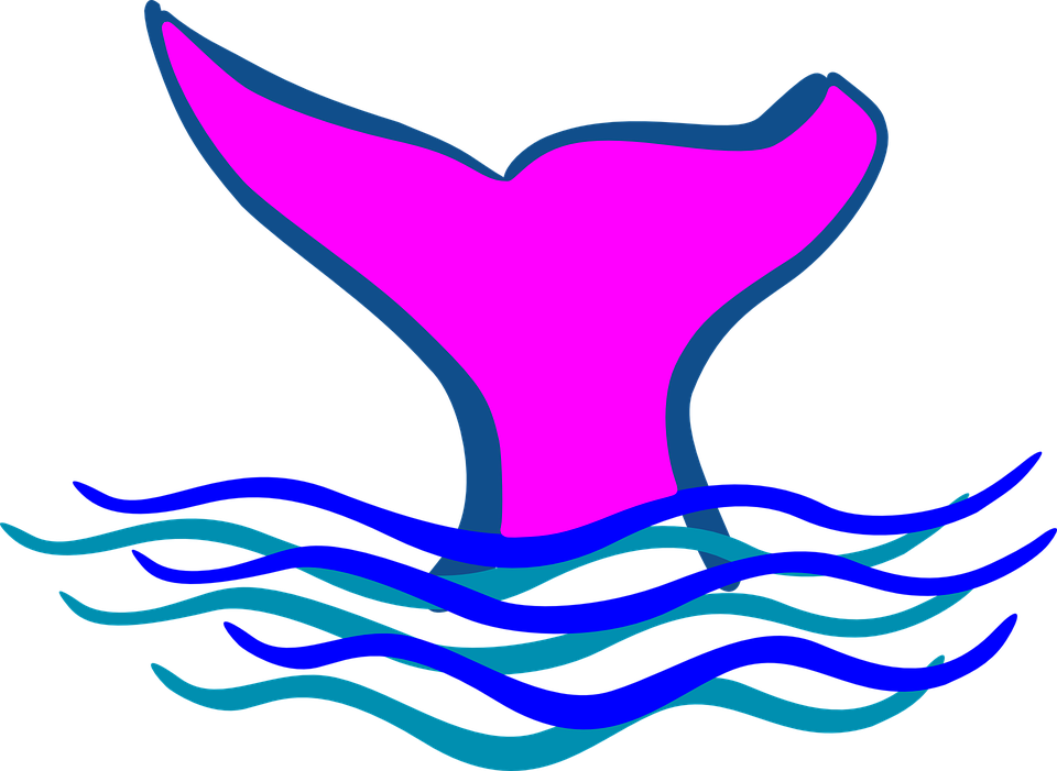 Fins Clipart Fish Tail - Tails Clipart (960x701)