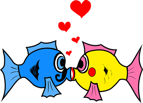 Fish Hearts Kiss Love Pair Kiss Kiss Kiss - Fish In Love Clipart (472x340)