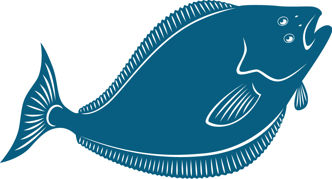 Seafood - Halibut Clip Art (1073x578)