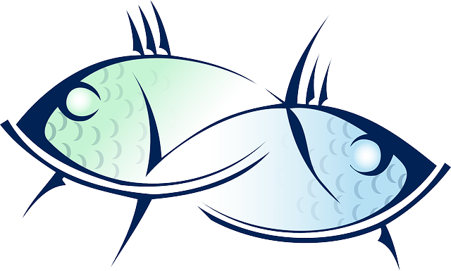 Fish, Animal, Sea Life, Signs Of The Zodiac - กราฟฟิก รูป ปลา (640x385)