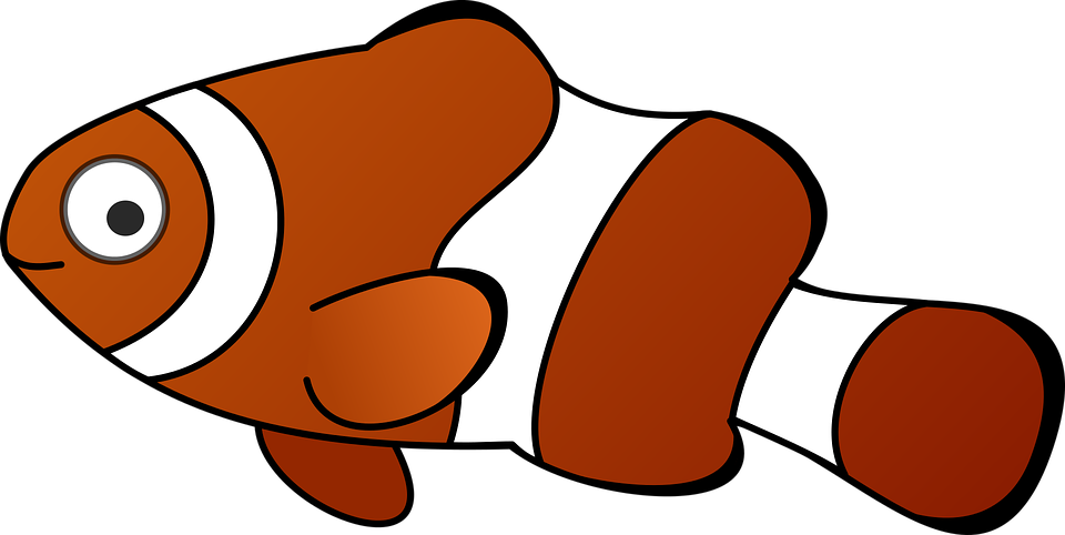 Anemone Cartoon Fish Sea Fish Fish Fish Fi - Cartoon Fish (990x497)