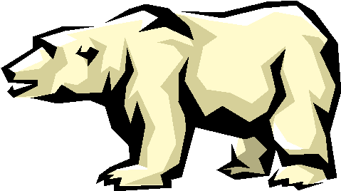 Polar Bear Polar Bear - Illustration (481x274)