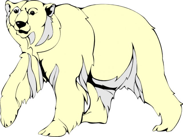 Polar Bear Walking Clipart - Polar Bear Clip Art (640x480)