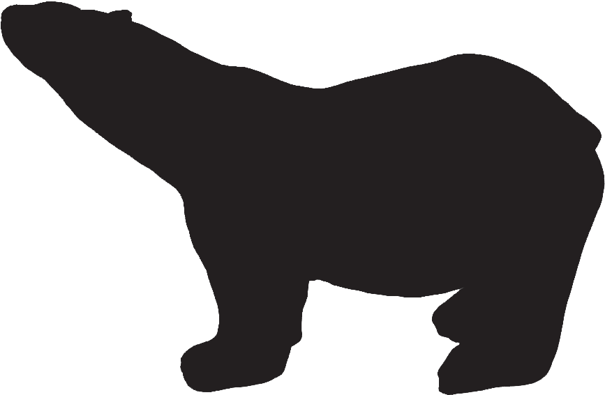 Polar Bear Iceberg - American Black Bear (900x592)