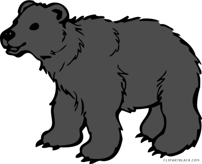 Polar Bear Animal Free Black White Clipart Images Clipartblack - Baby Polar Bear Queen Duvet (700x570)