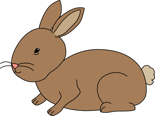 Rabbit Clipart Rabbitclipart Bunny Rabbit Clip Art - Rabbit (600x449)