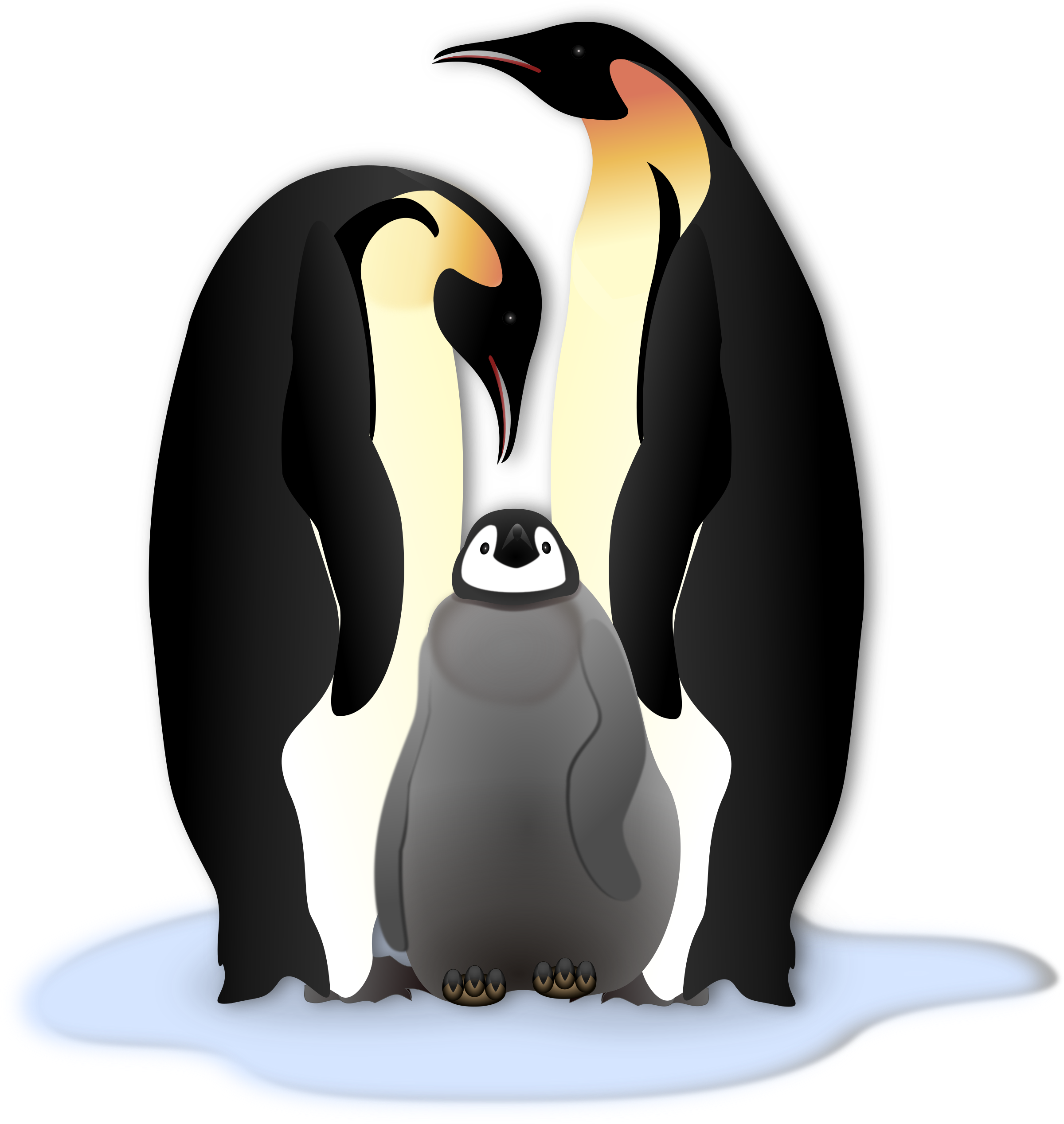 Big Image - Emperor Penguin Clipart (2400x2536)