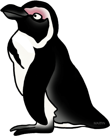 Penguin - Head To Toe Printable Activity Cards (476x576)