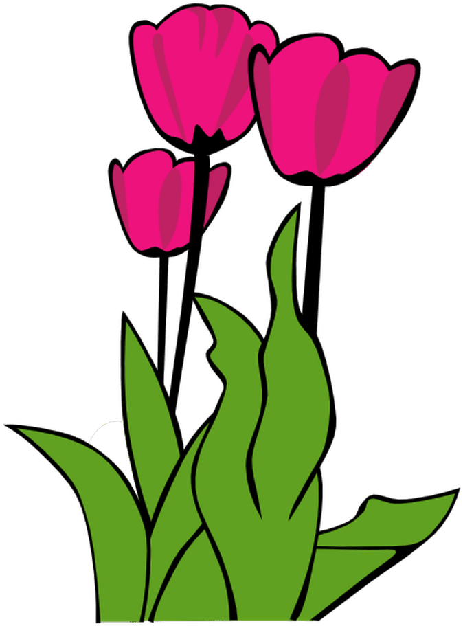 Free Spring Clip Art For All Your Projects - Tulip Clip Art (950x1256)