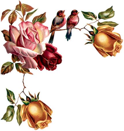 Mandala, Clip Art, Border Tiles, Lanterns, Tags, Mandalas, - Vintage (479x500)