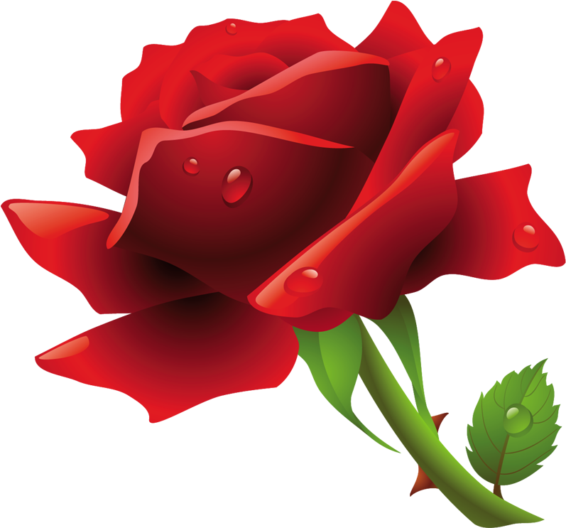 Explore Art Flowers, Beautiful Words And More - Rose Flower Clipart Png (800x795)