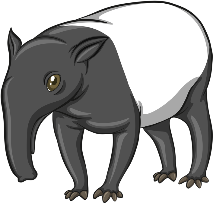 Malayan Tapir Royalty-free Clip Art - Tapir Vector (800x794)
