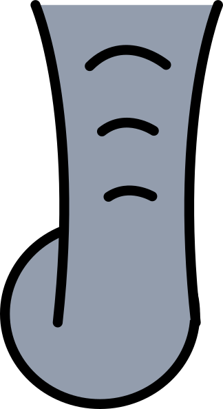 Cartoon Elephant Trunk Clip Art - Clip Art (324x594)