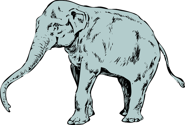Baby, Small, Child, Elephant, Various, Long, Trunk - African Elephant Shower Curtain (640x435)
