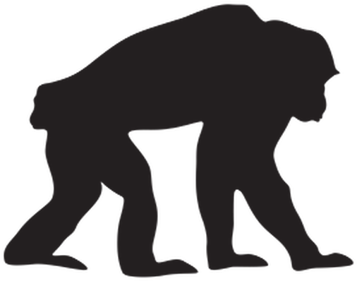 Animal Silhouettes - Chimpanzee - Clipart - Chimpanzee Clipart Black (589x399)