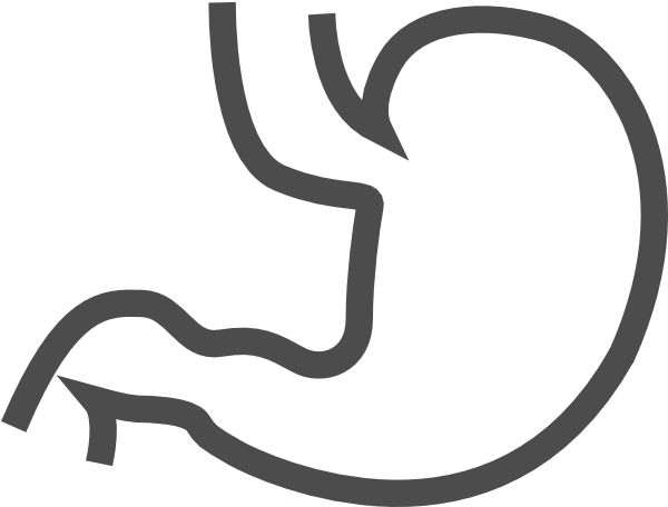 Stomach Clipart - Stomach Clip Art Black And White (600x466)