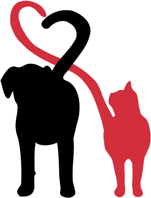 Dalmatian Dog Dogu2013cat Relationship Pet Sitting - Animal Pet Sitting Logos (491x648)