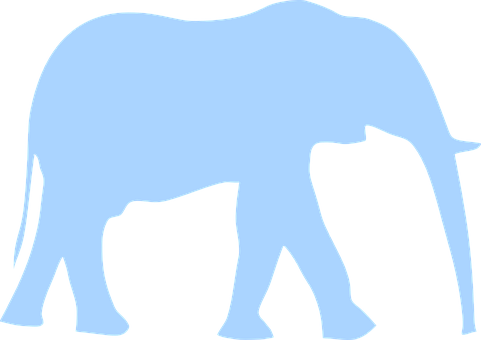 Elephant, Animal, Huge, Mammal, Walking - African Rainforst Elephants Are Blue (481x340)