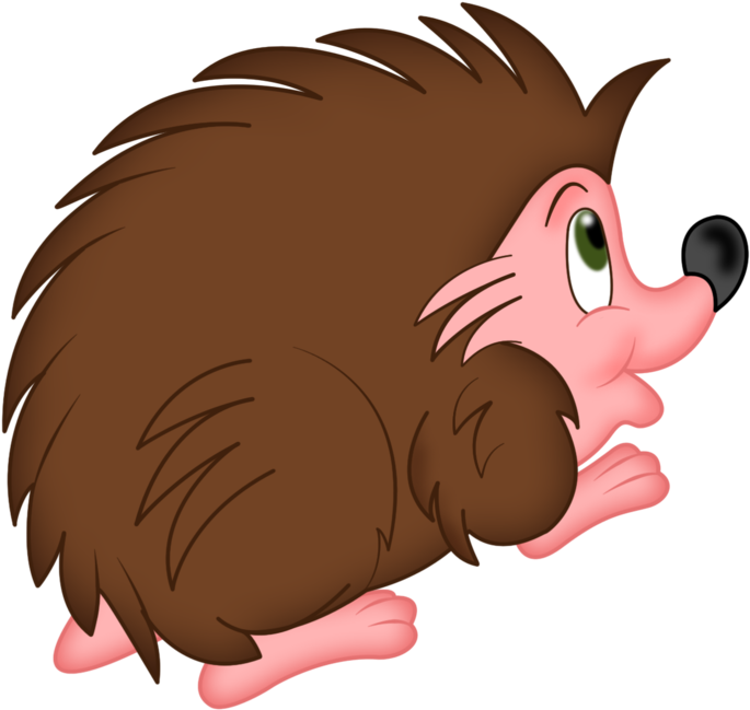 Ёжик Пнг - Clipart Jezko (700x700)