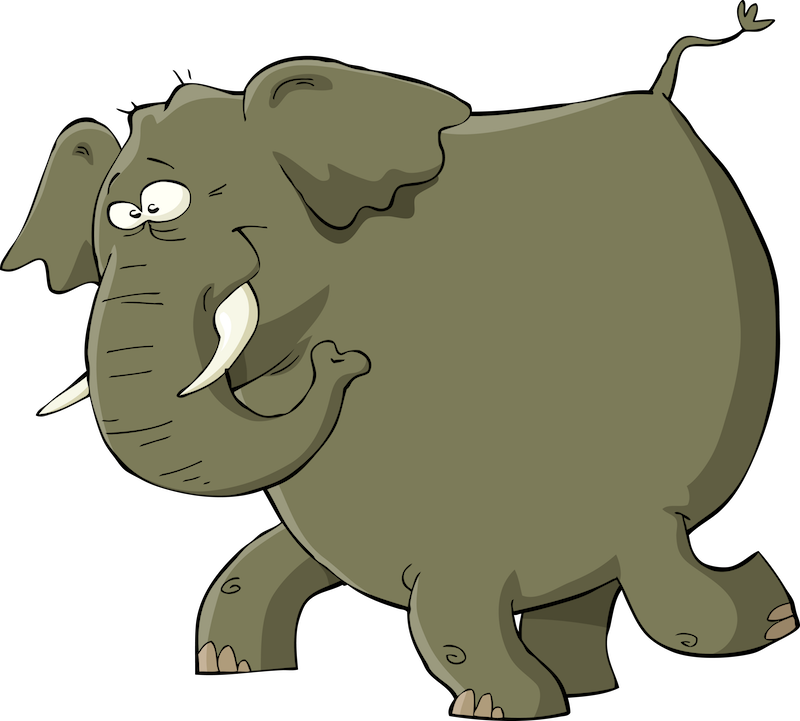 Elephant Small - Illustration (800x721)