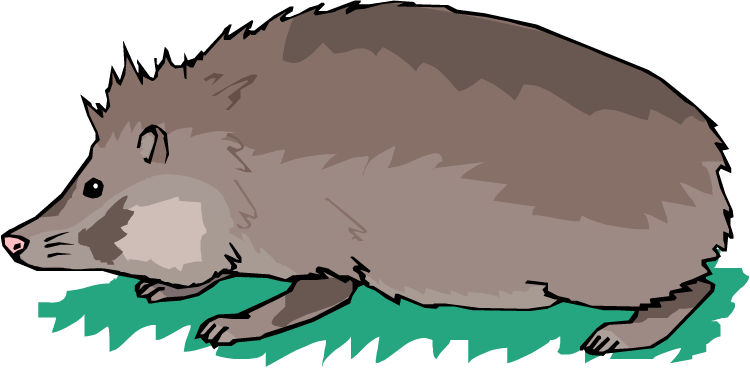 Hunting Hedgehog - Illustration (750x368)