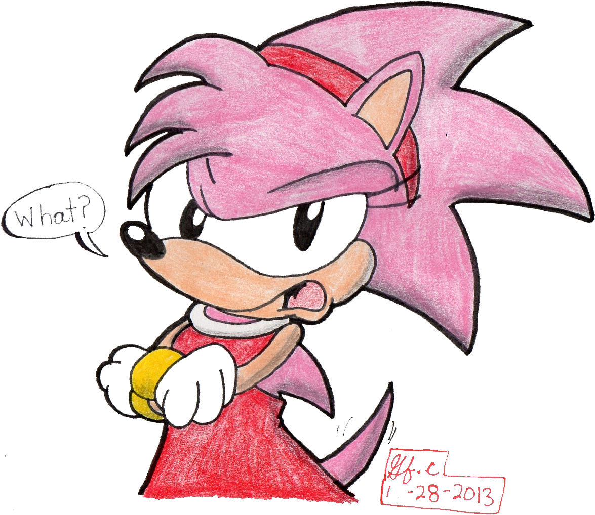 Annoyed Amy The Hedgehog By Spongefox - Amy The Hedgehog (1204x1065)
