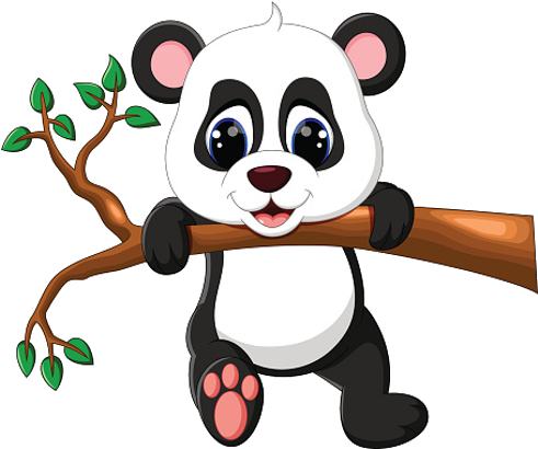 Baby Panda Swining From Bamboo Branch - Cute Baby Panda Cartoons (500x500)