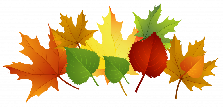 Download Exciting Clip Art Of Fall Leaves - Download Exciting Clip Art Of Fall Leaves (768x370)
