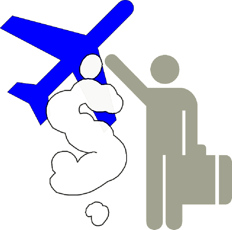 Trip, Airplane, Plane, Ticket, Flights, Vacation, Cheap - Airplane (800x793)