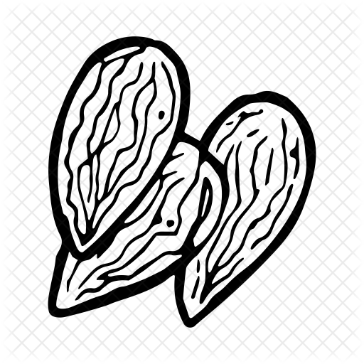 Almond Icon - Almond Black And White Png (512x512)