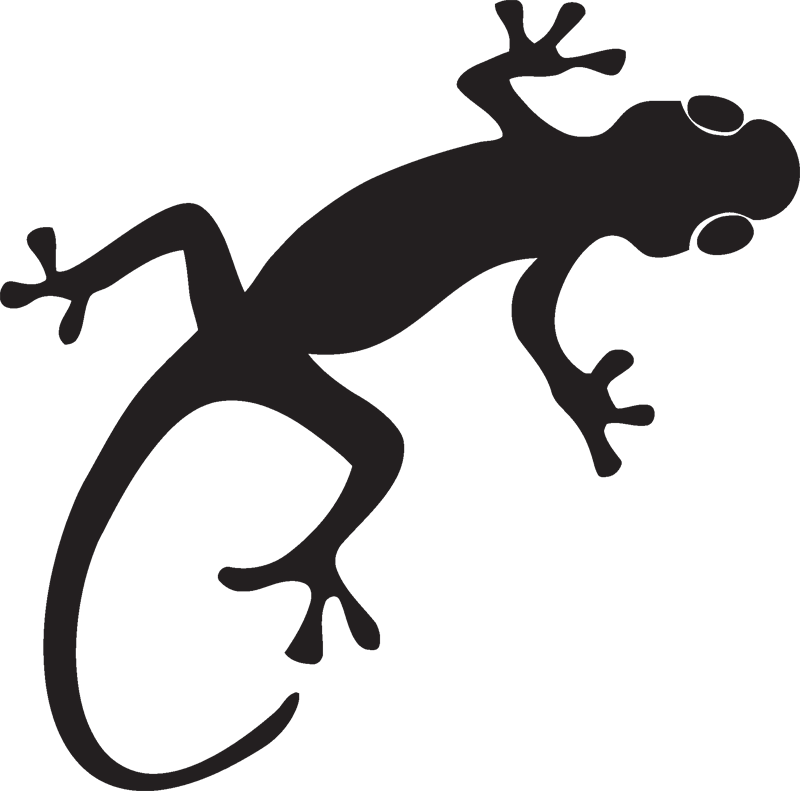 Gecko Lizard S - Gecko Silhouette (800x791)