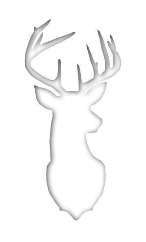 Deer - Black And White Deer Head (298x493)