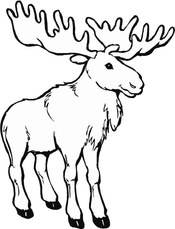 Caribou Clipart Coloring Page - Moose Coloring Pages (700x933)