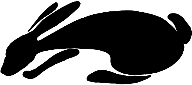 Black, Silhouette, White, Shape, Rabbit, Shapes - Rabbit Clip Art (640x320)