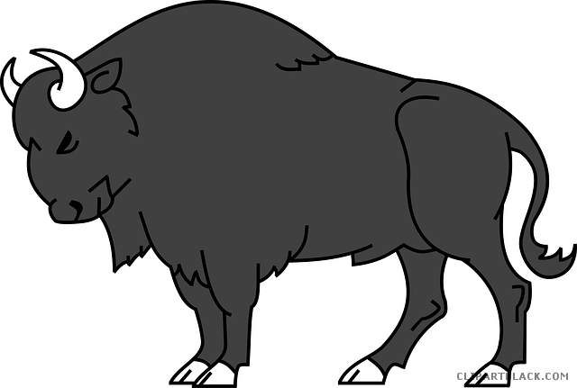 Bison Animal Free Black White Clipart Images Clipartblack - Bison Clipart (640x431)