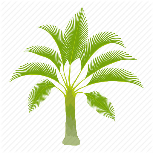 Palm Trees Cartoon - Palm Oil Tree Icon (512x512)