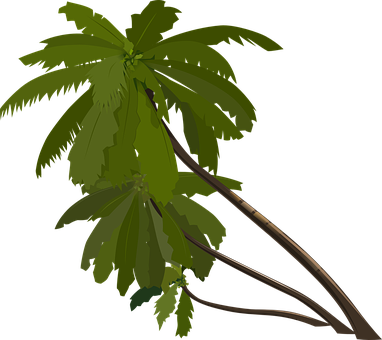 Palm Trees Slanted Tropical Trees Leaning - Palm Tree Animation (382x340)