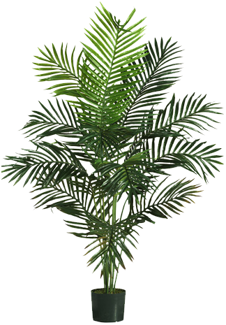 Beachcrest Home Black Hammock Palm Tree With Pot Decorist - Fake Palm Trees (324x465)