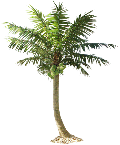 Artificial Palm Tree In Stock - Small Palm Tree Png (500x655)