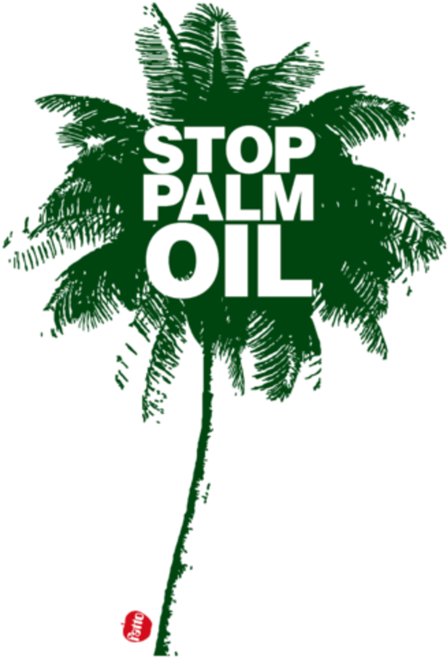 The Gallery For > Palm Oil Tree Png Palm Oil Tree Png - Stop The Palm Oil (1024x1505)