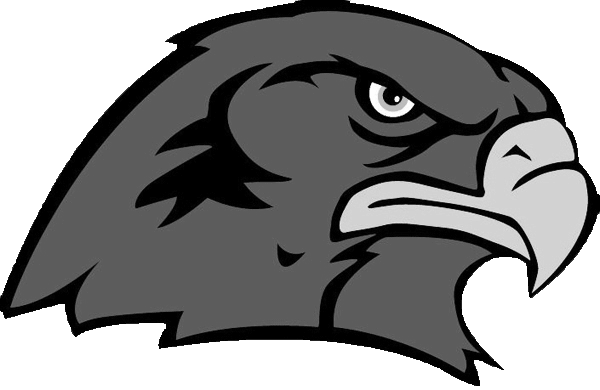 Mascot Head Falcon Hawk Xm7gti Clipart - Mascot Head Falcon Hawk Xm7gti Clipart (600x390)