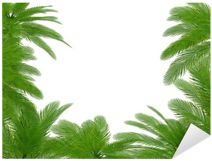Palm Trees Und Hibiscus Flowers Frame Sticker • Pixers® - Cornice Palme (400x400)