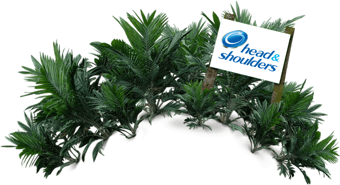 Procter & Gamble Decides To Wash Its Bad Palm Oil Away - Head And Shoulders Shampoo (691x375)