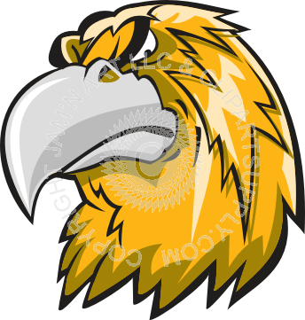 Cool Hawk Head At Angle - Cool Hawk Head At Angle (344x361)